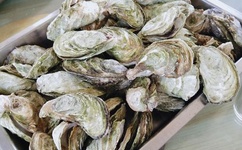 国产又色又爽又黄的A片